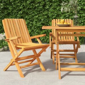 Skladacie záhradné stoličky 2 ks 61x67x90 cm tíkový masív