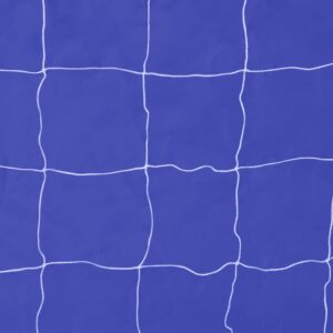 Fotka Futbalová bránka s cvičnou plachtou, oceľ 240x92x150cm, vysokokvalitná