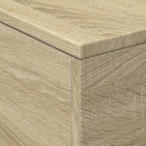Obrázok  Konferenčný stolík s LED svetlami dub sonoma 50x50x40 cm